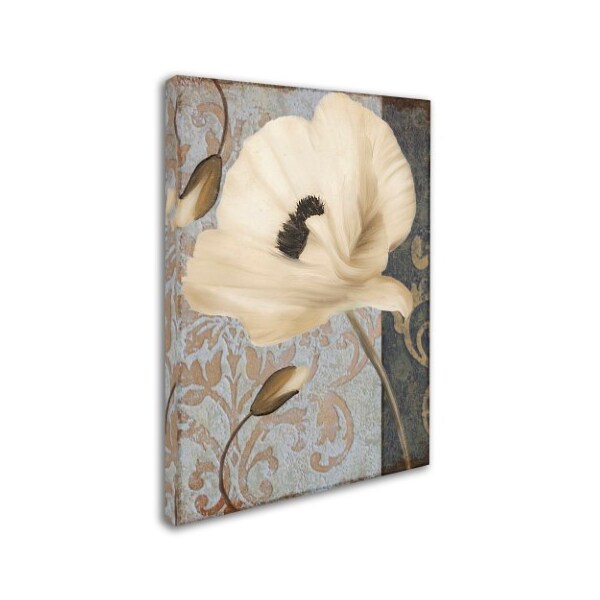 Color Bakery 'Poppy Brocade II' Canvas Art,18x24